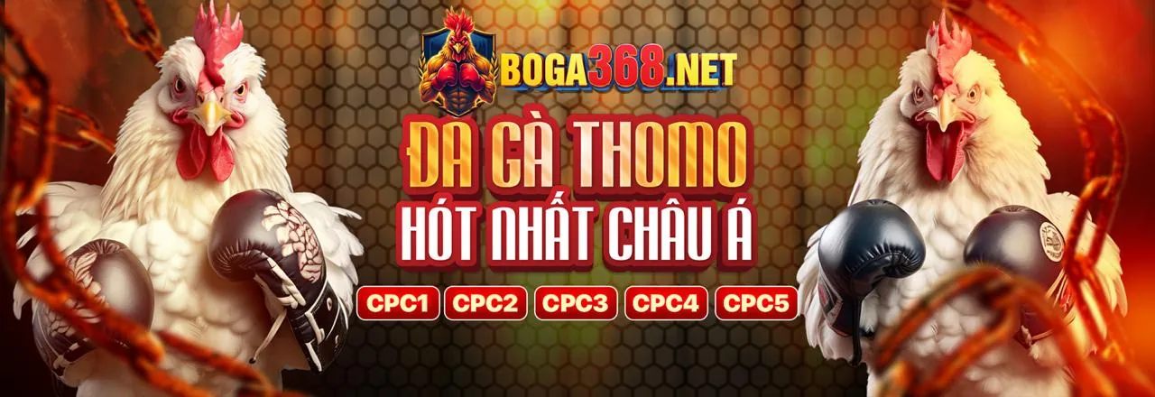 Đấu trường đá gà trực tuyến sôi động tại 268bet